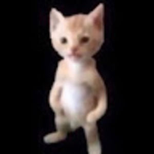 Meet your Posher, Lilah